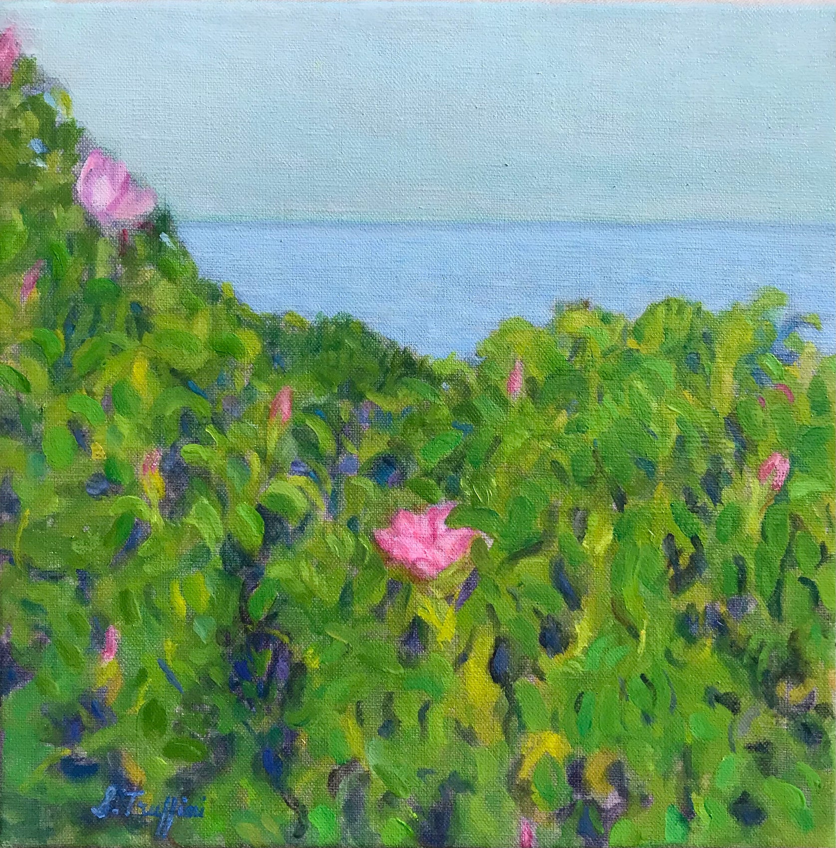 Ocean View