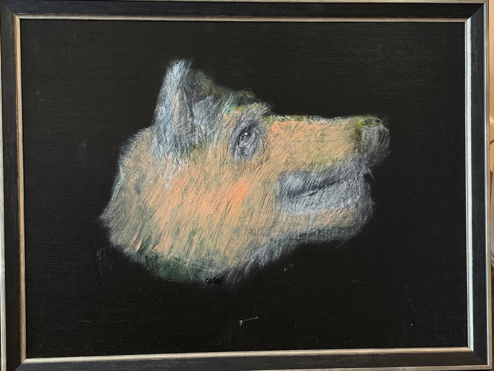 Rufus