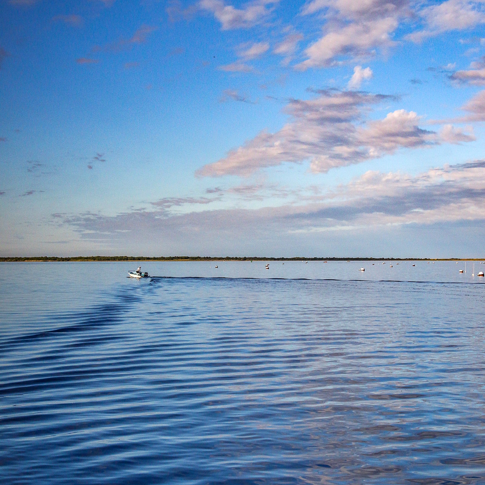 Waterdance