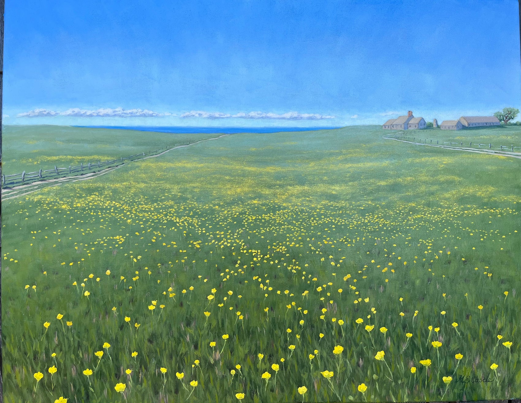 The Ocean View Farm