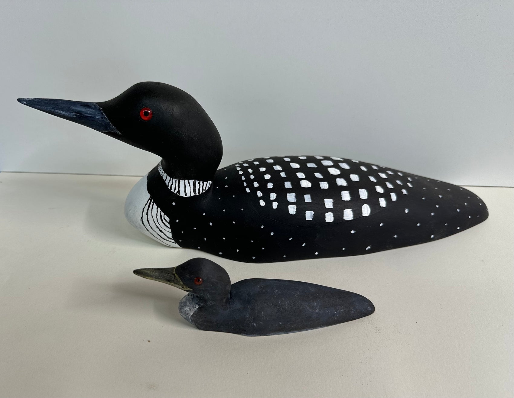 Mother Loon with immature Loon