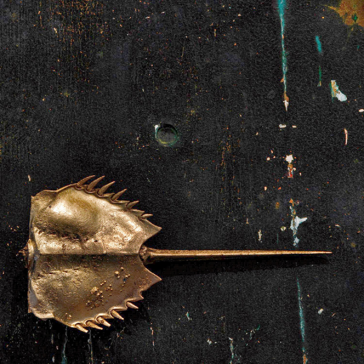The Golden Foil
