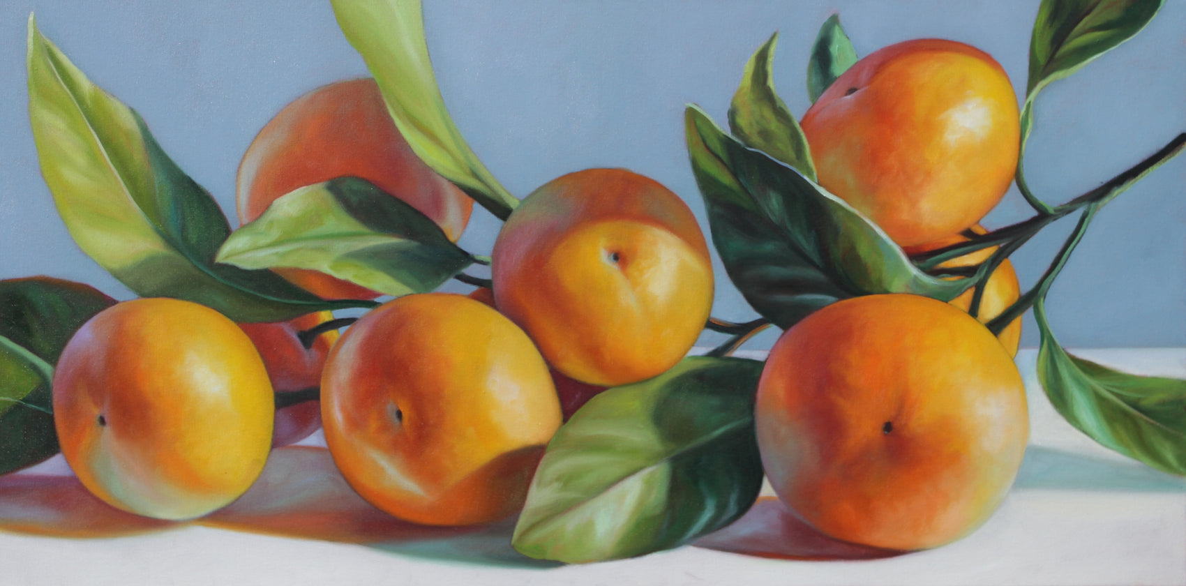 Mandarins in Morning Light