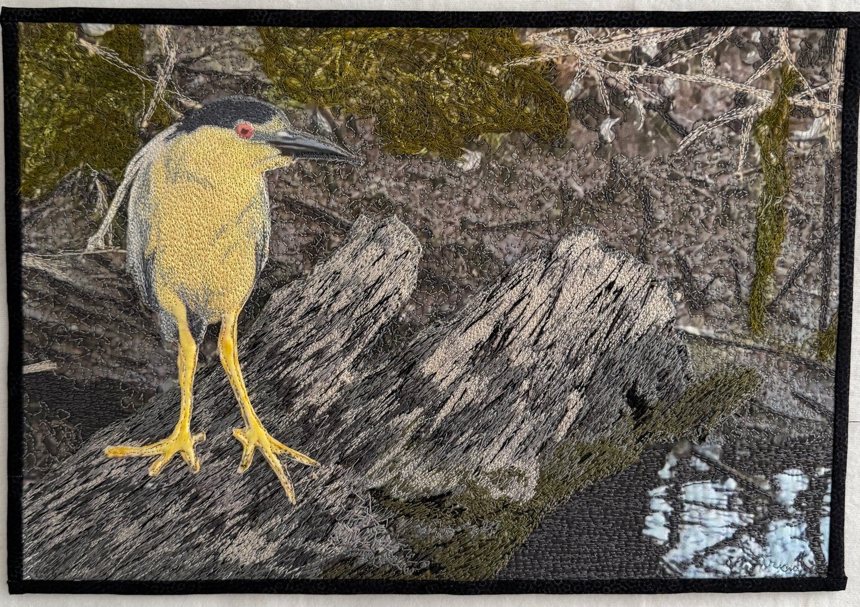 Black Capped Night Heron