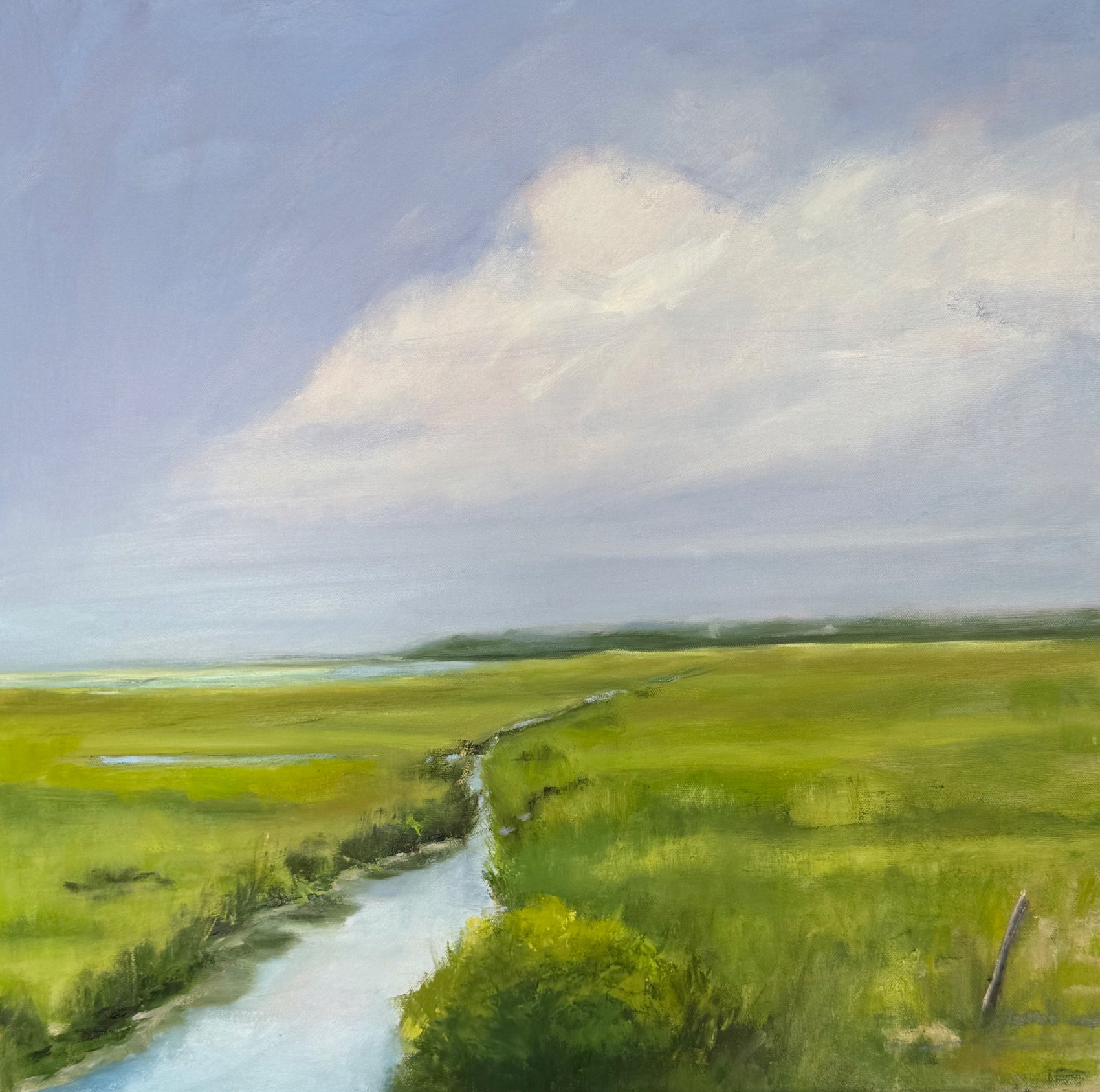 Washington Street Marsh