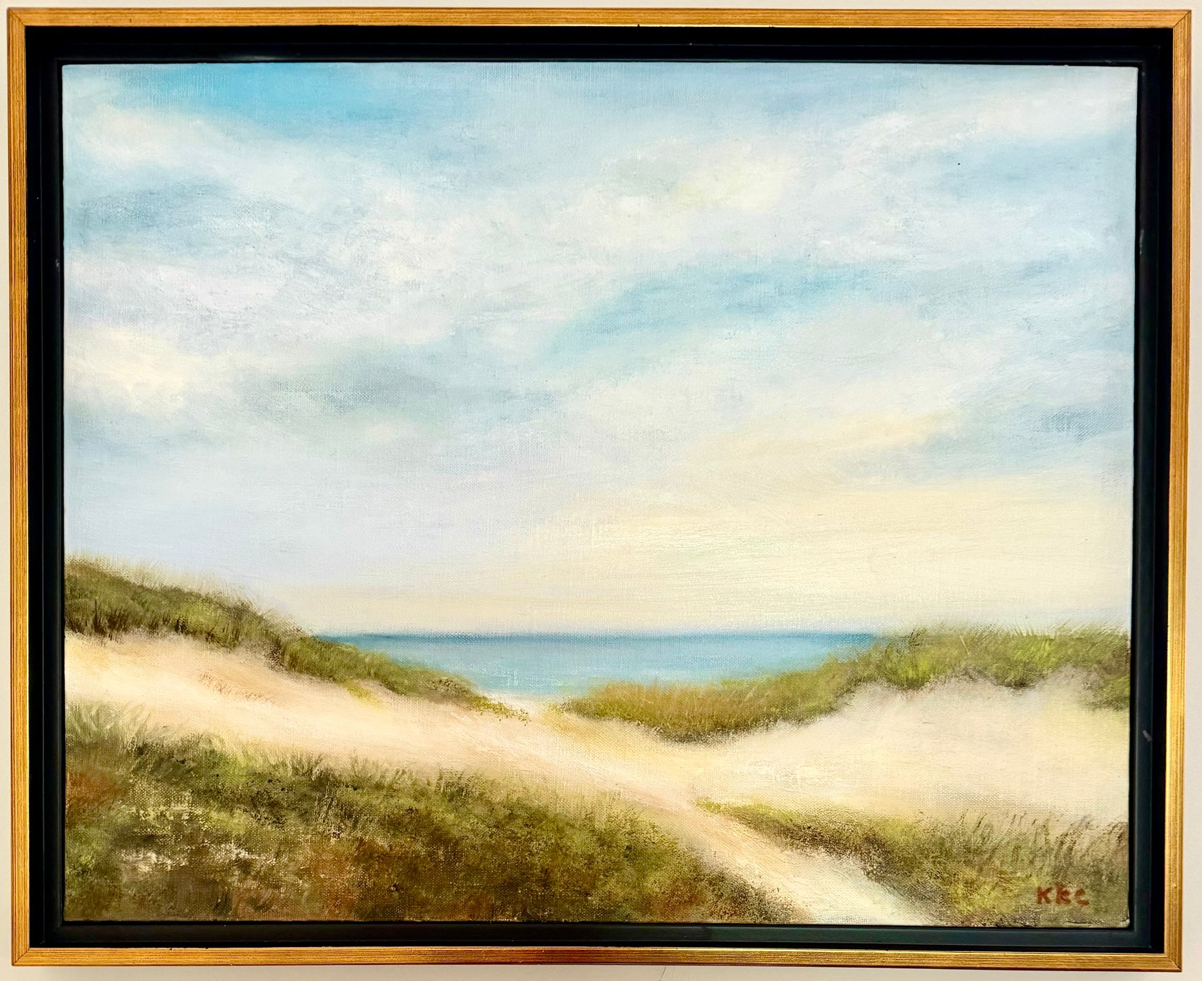 Beach Paths 