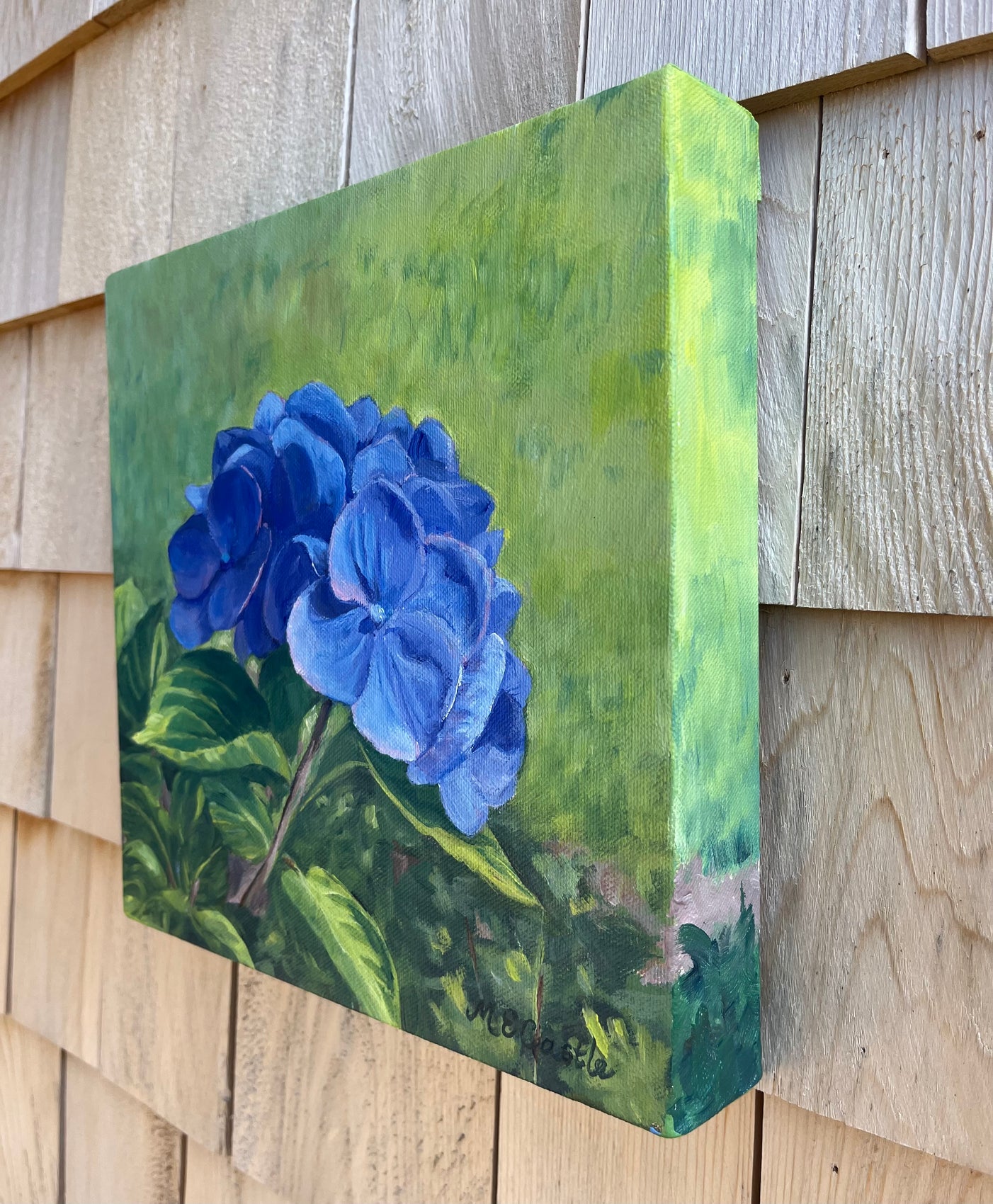 The Mathilda Gutges Hydrangea