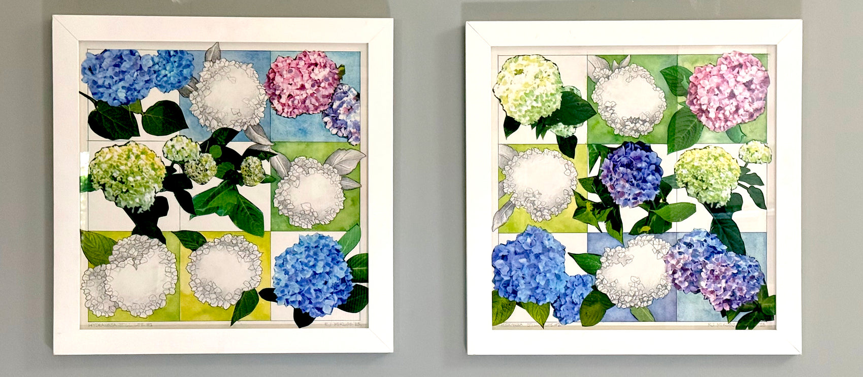 Hydrangea Still Life #2