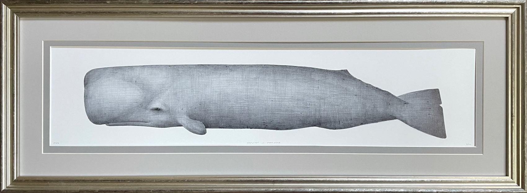Nantucket Sperm Whale II