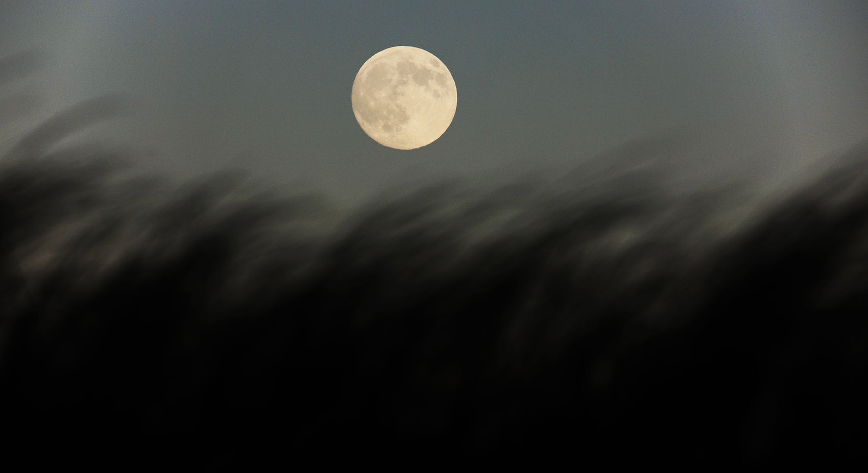 Moon & Dune Grass