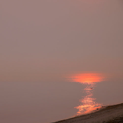 Tangerine