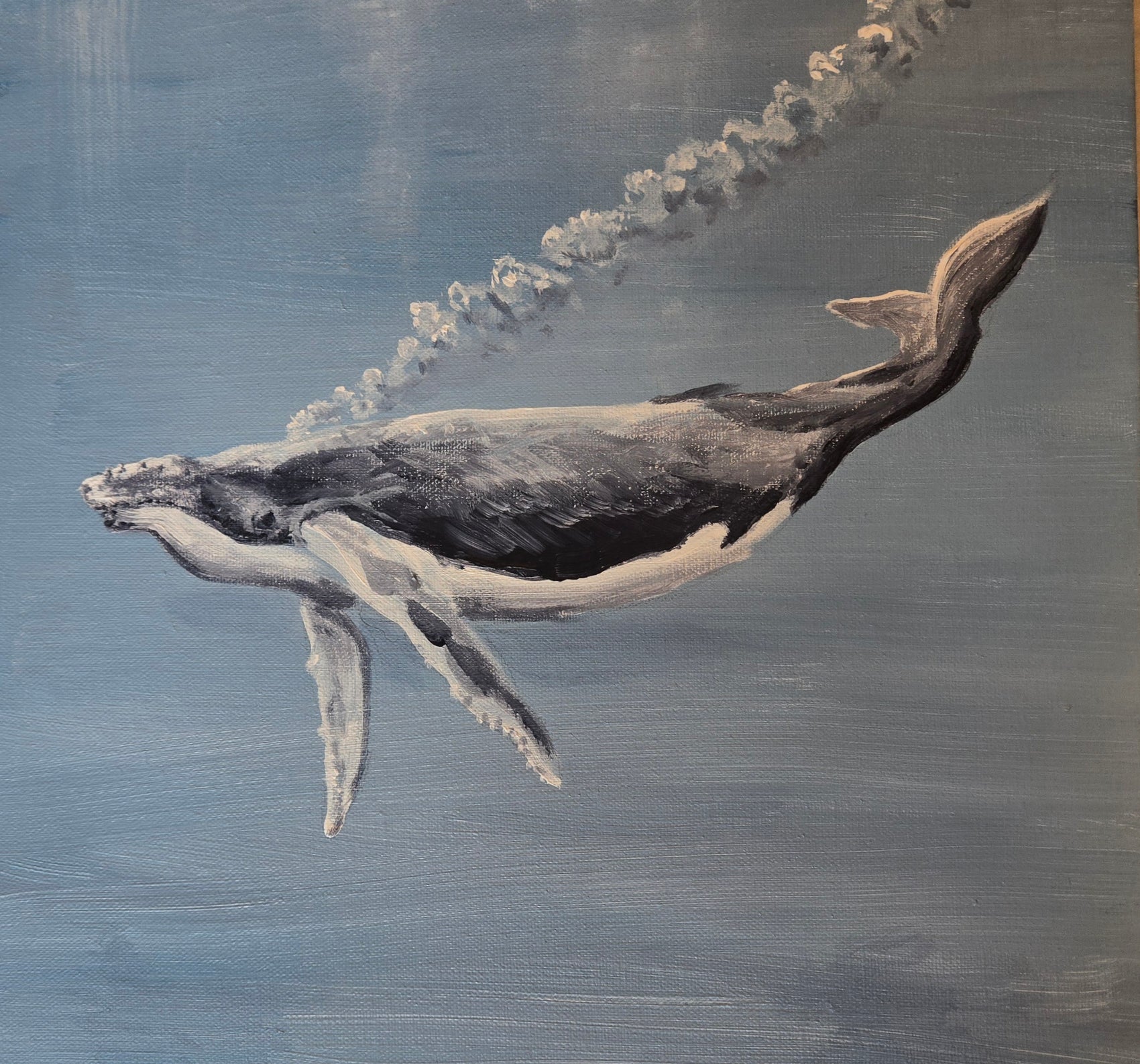 Bubble Net Fishing Humpback