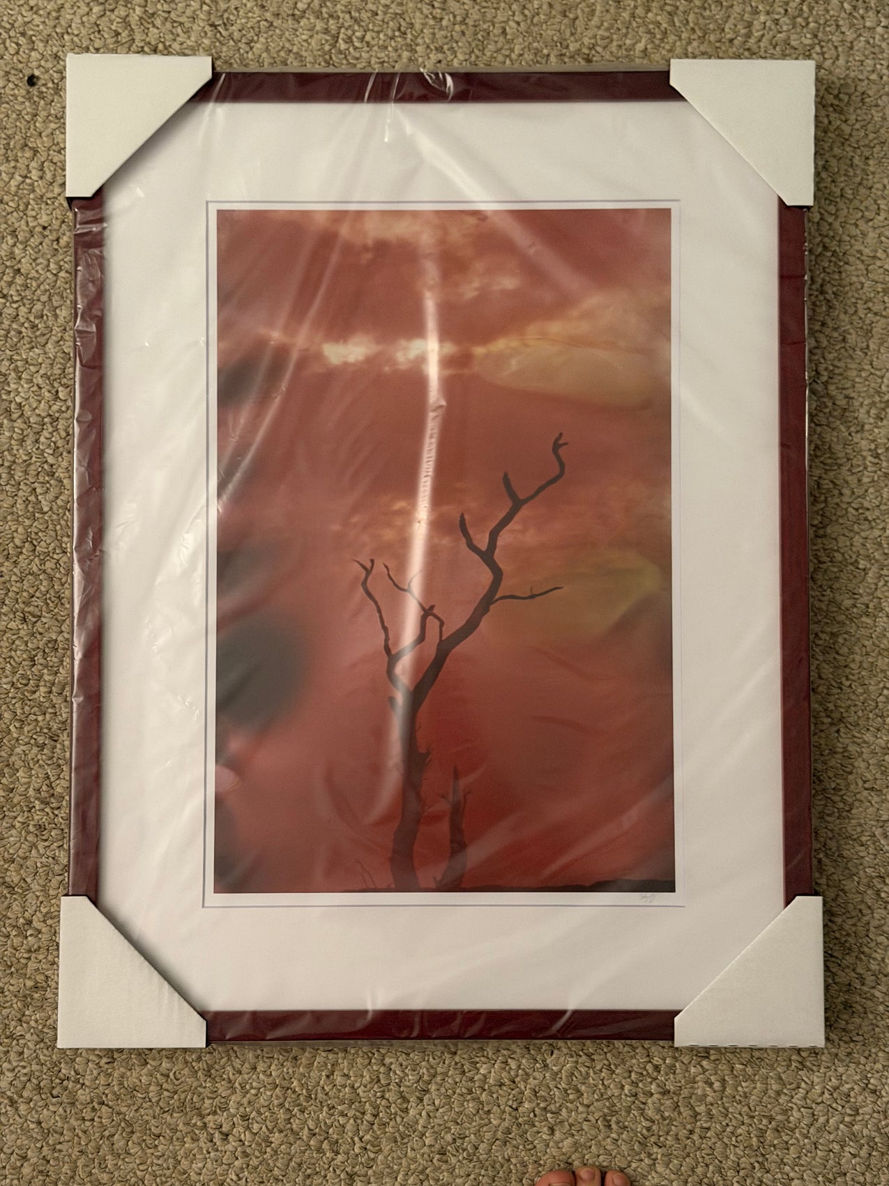 Burning Skies