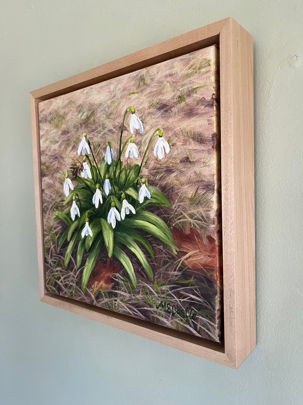 The Snowdrops