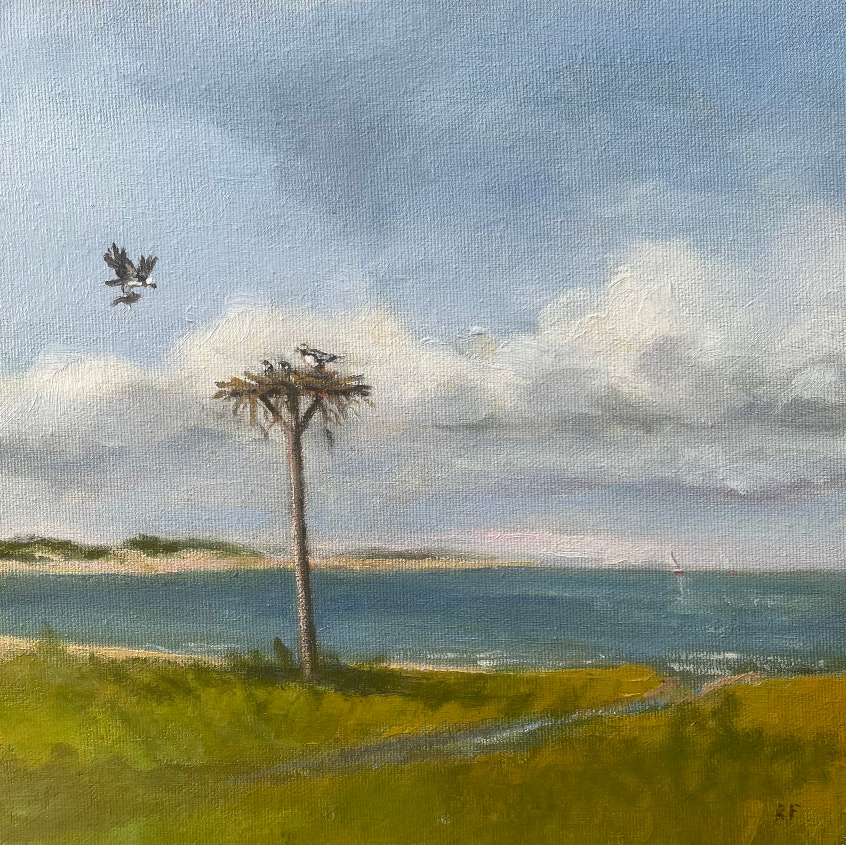 Ospreys-Jackson Point