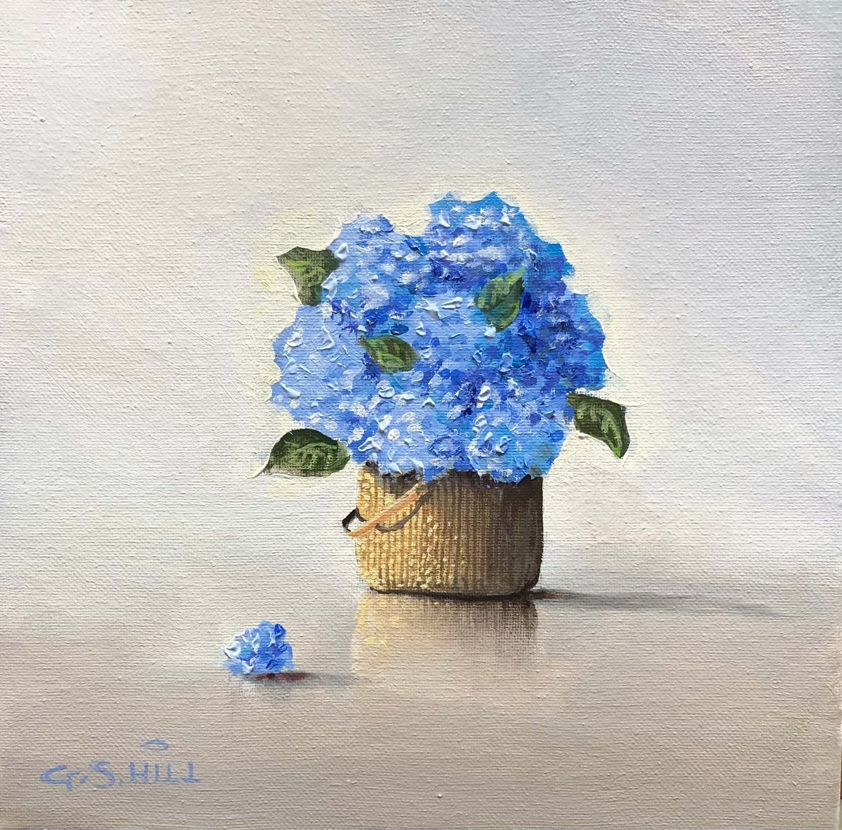 Nantucket Hydrangeas 