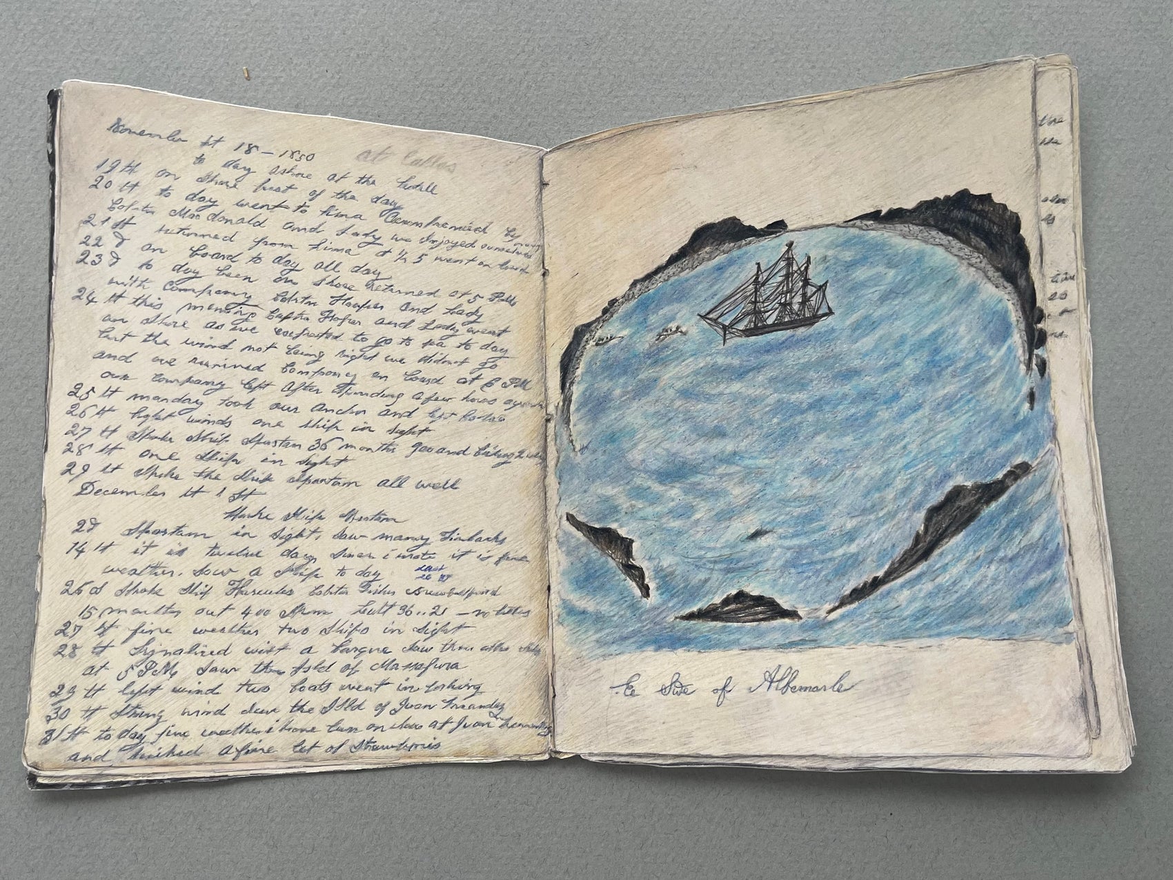 E Swe of Albermarle Susan Veeder's Journal