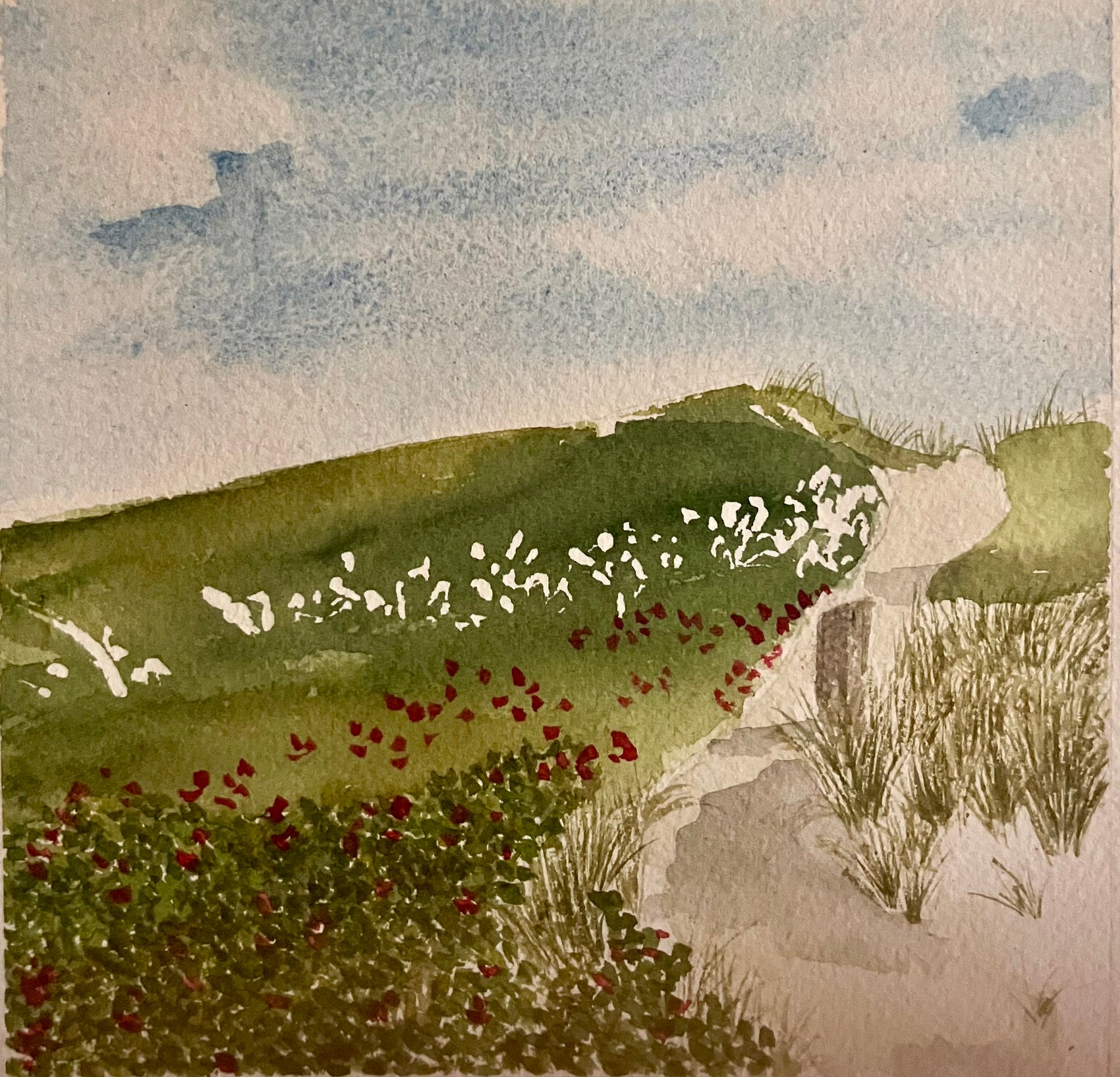 Rosa dunes
