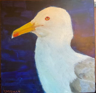 Proud Gull