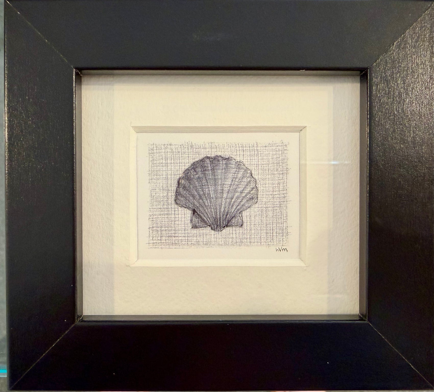 2026 Mini Scallop Shell 