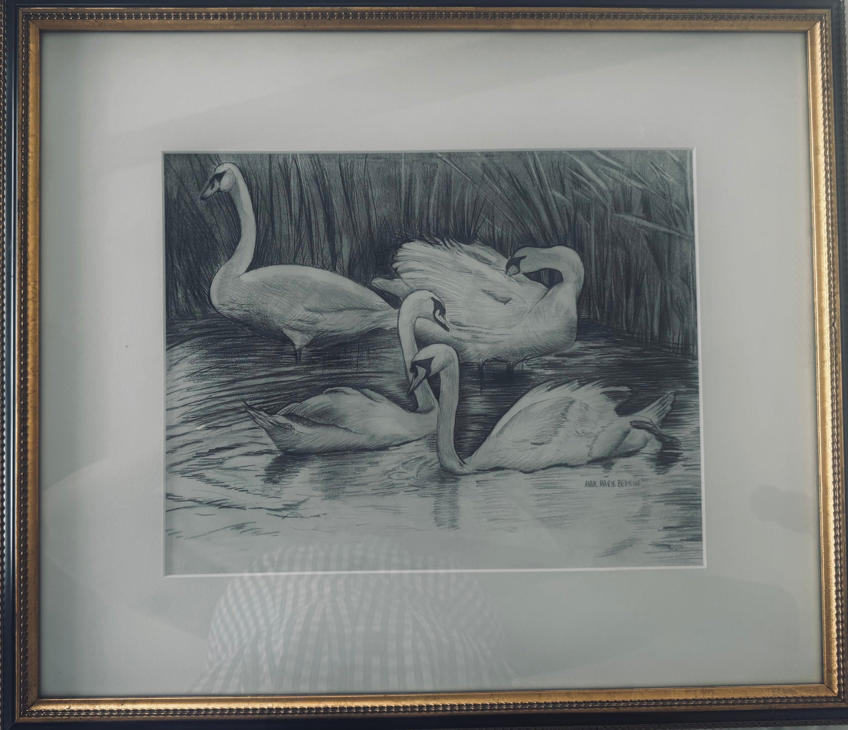 Swans