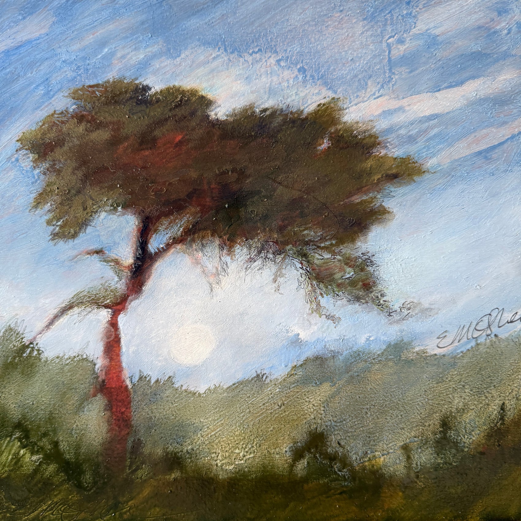 Morning Sun