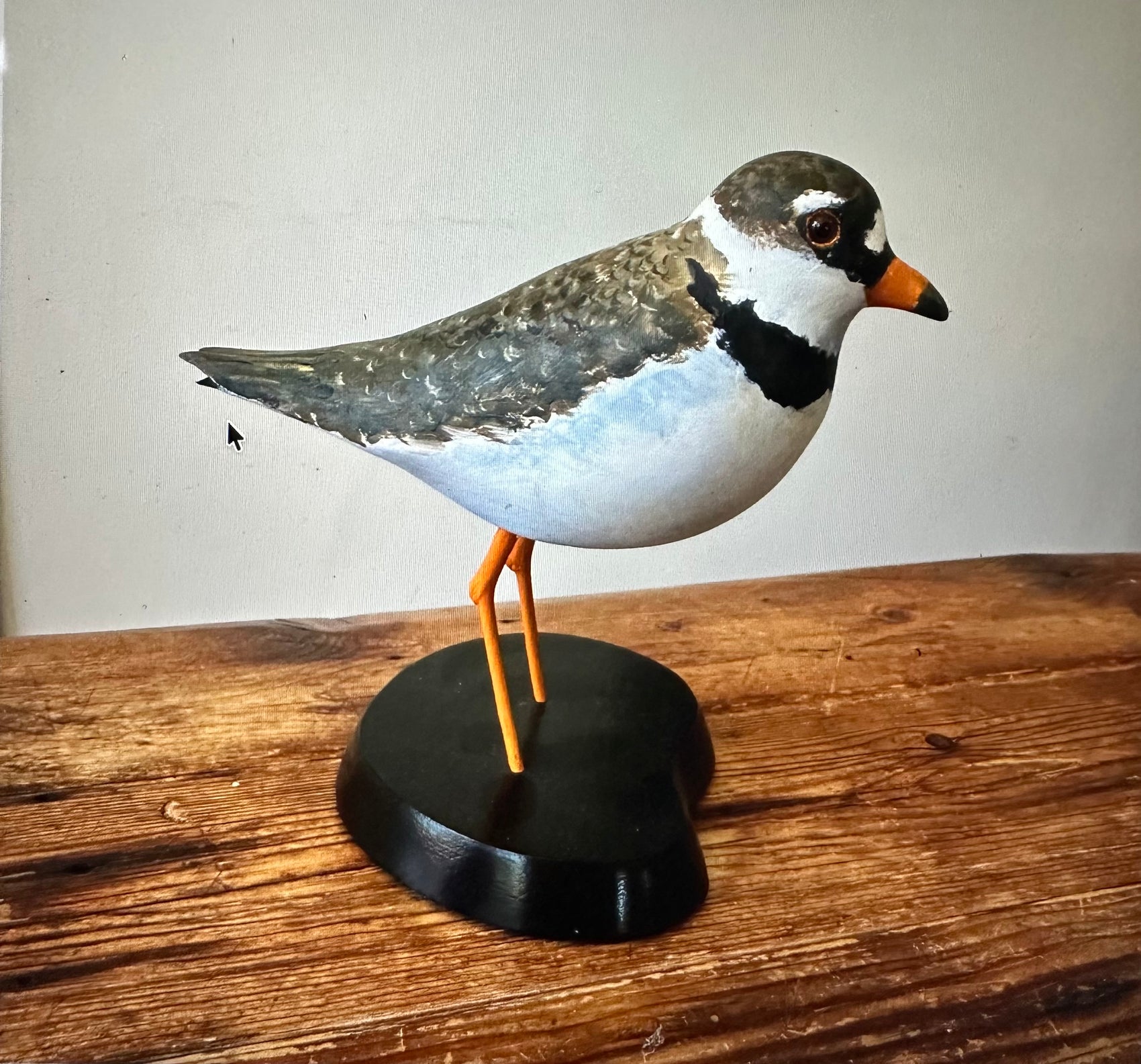Semipalmated Plover