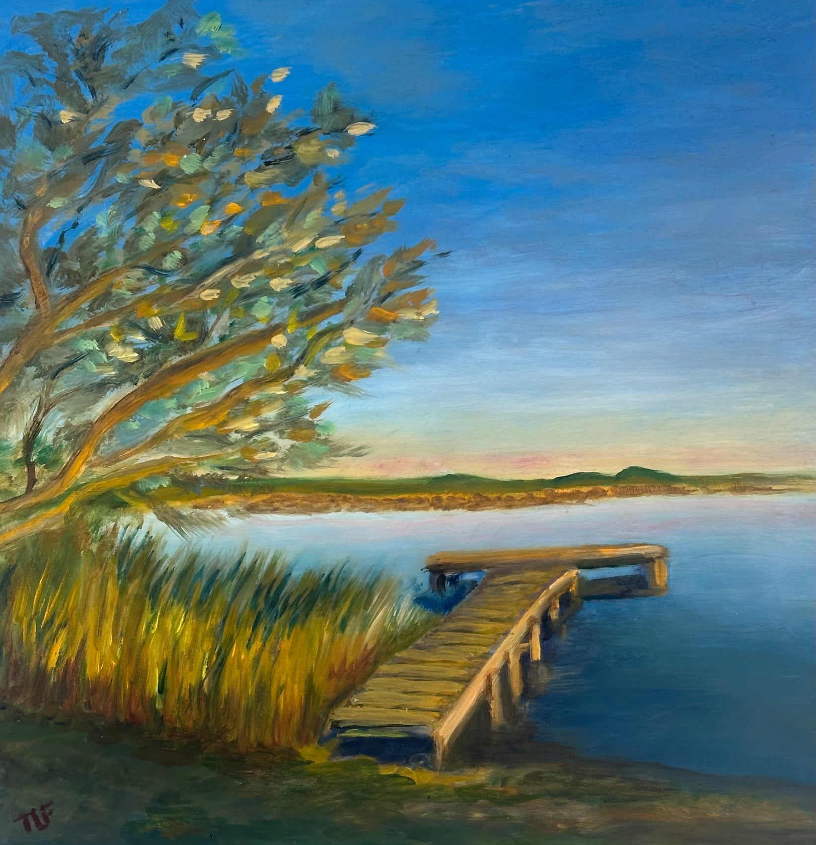 Turtle Pond