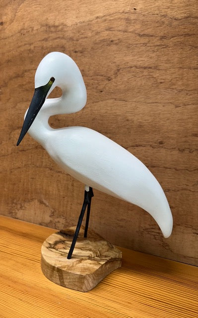 Snowy Egret