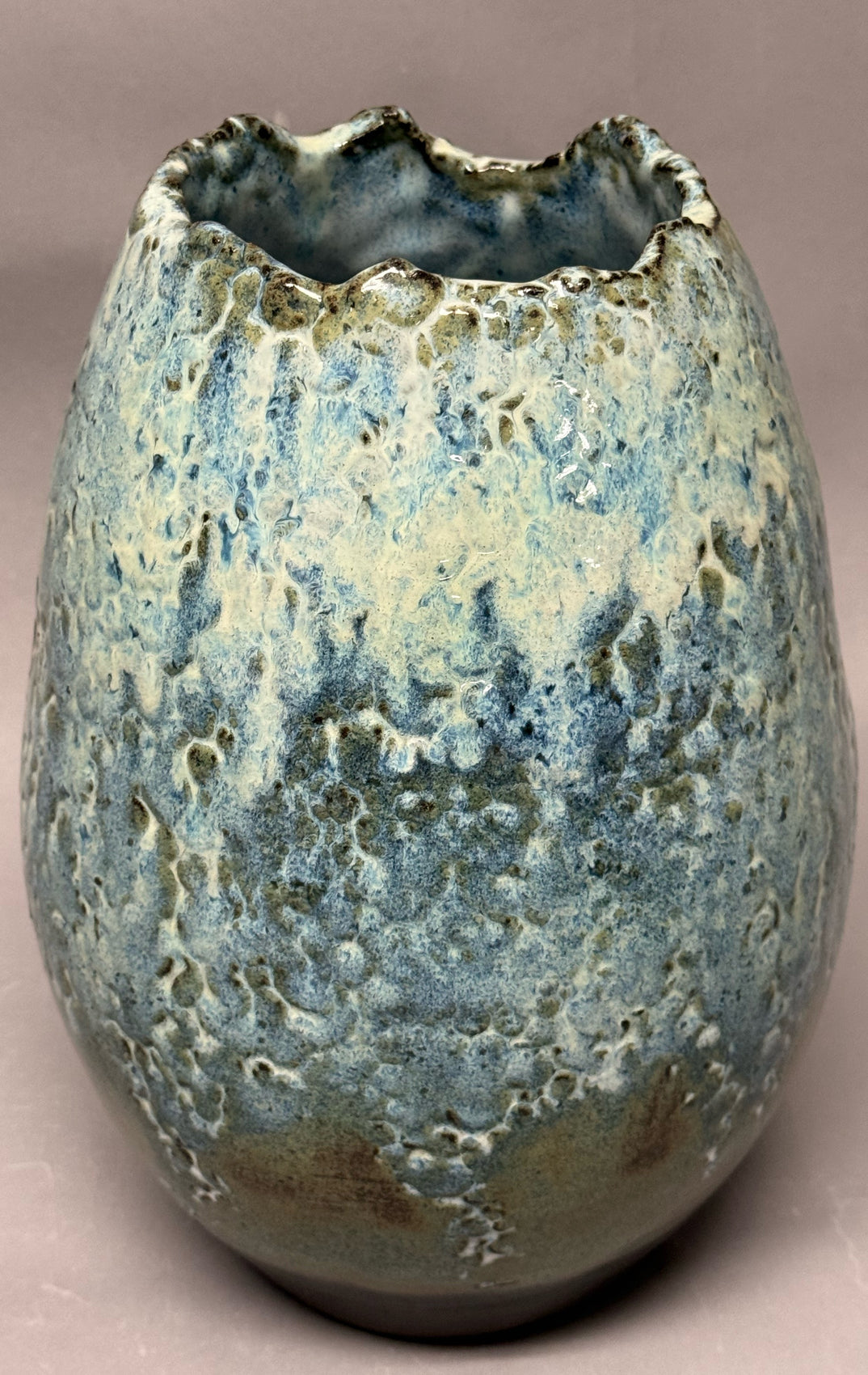 Barnacles