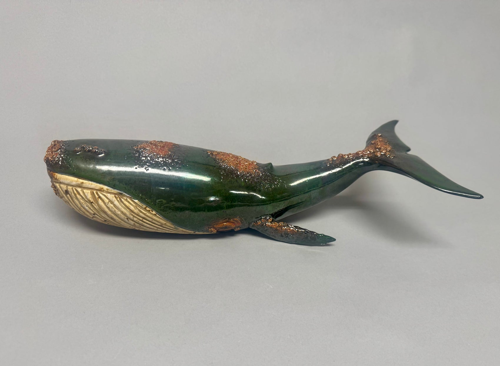 Large Green Humpback