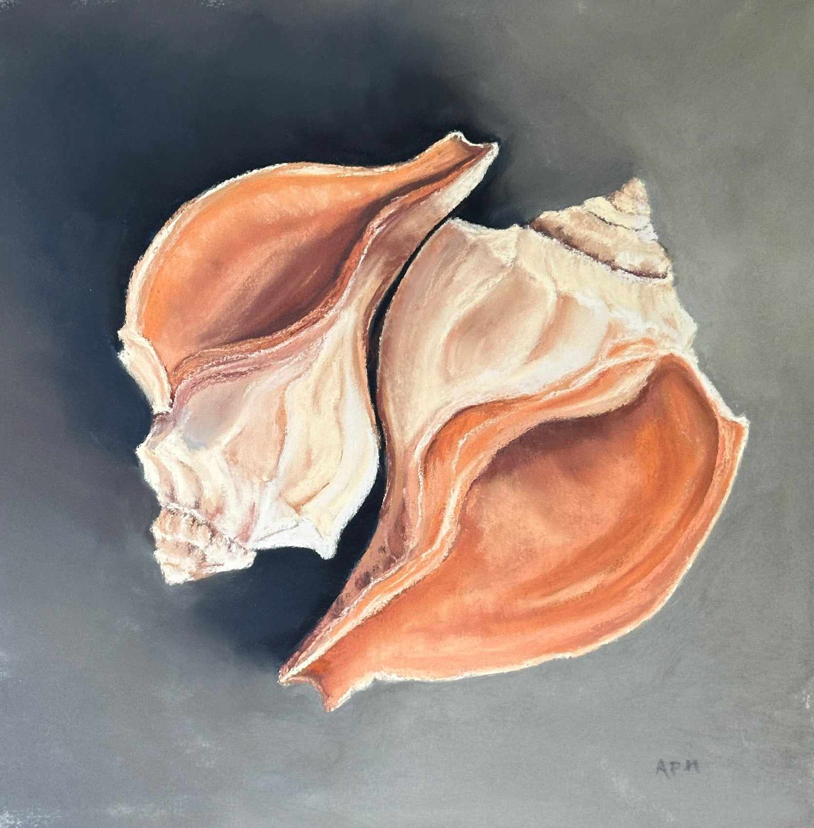 Cozy Whelks