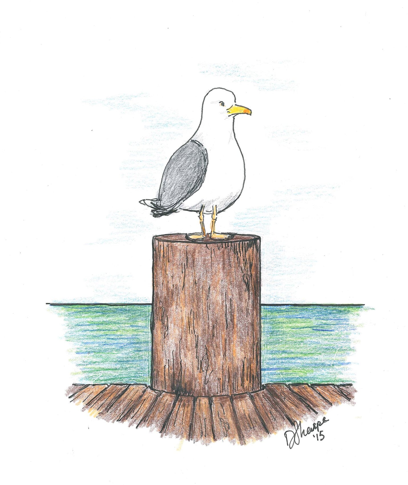 Seagull on Piling #2