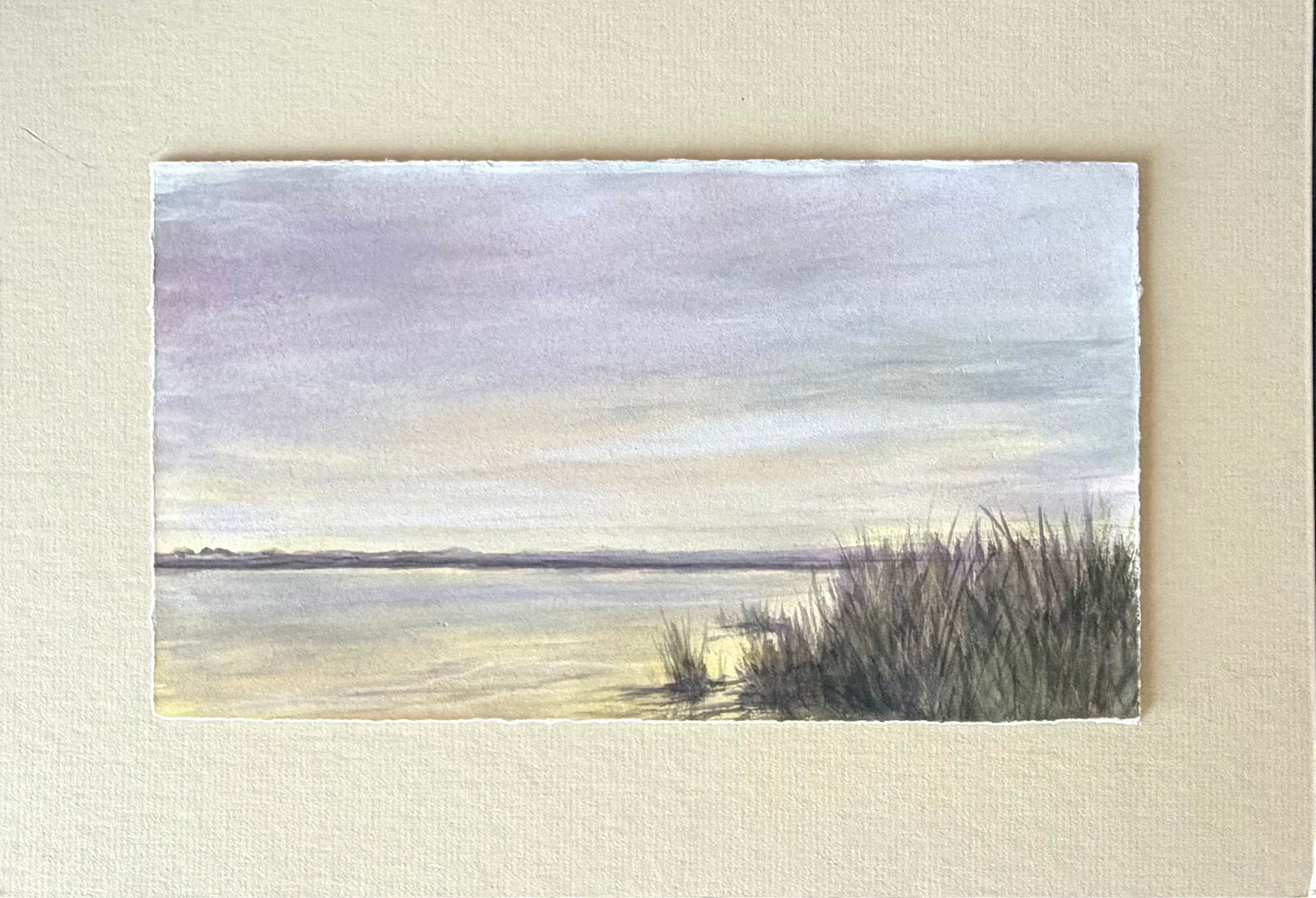Pond Evening