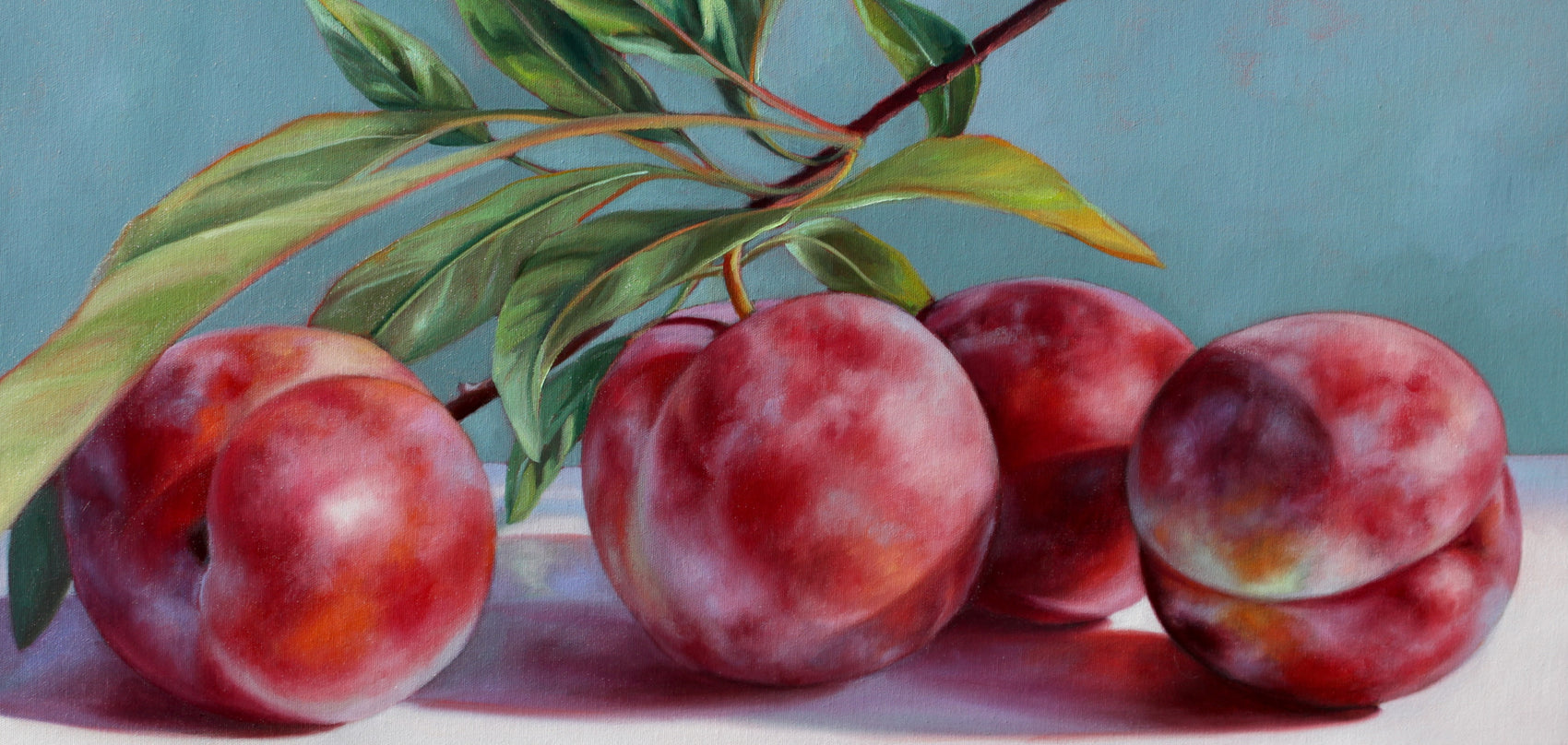 Four Plums in Summer Light