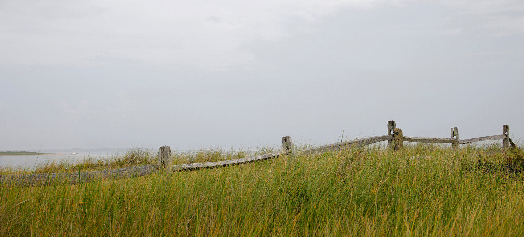 Along the Path