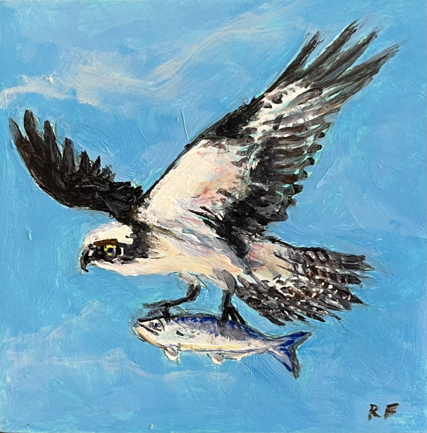 Osprey and Bluefish