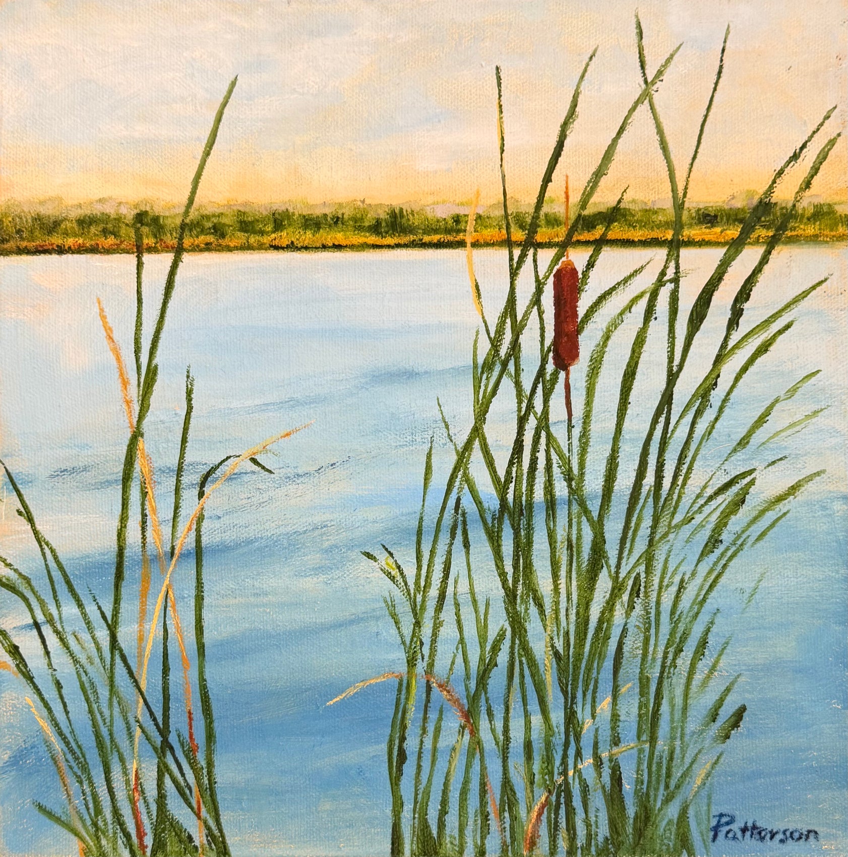 Cattails on Hummock Pond