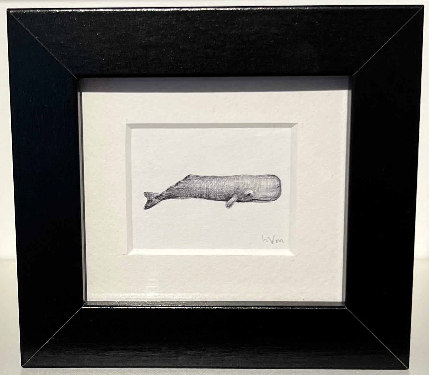 Mini Sperm Whale XXVI