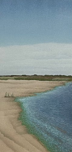 Clarks Cove - Algae Bloom