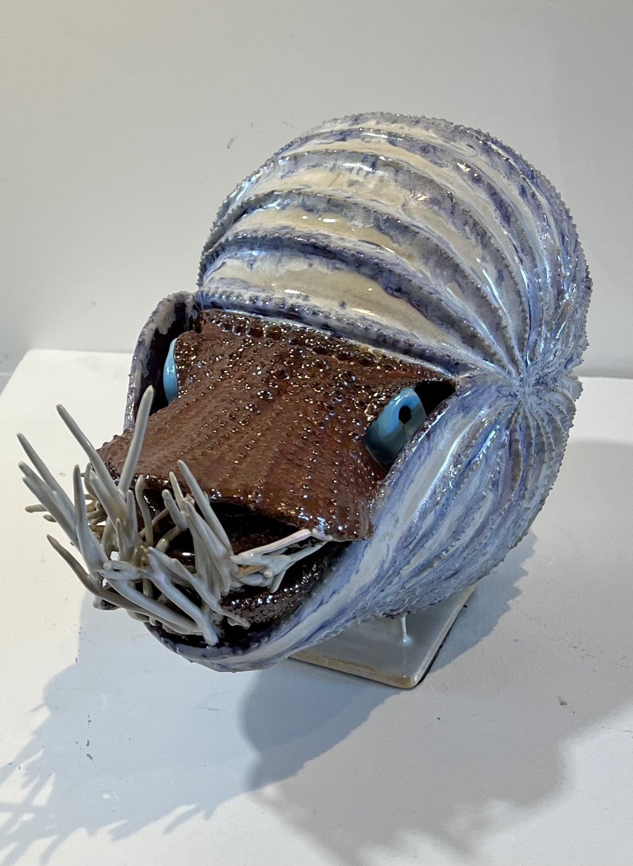 Nautilus