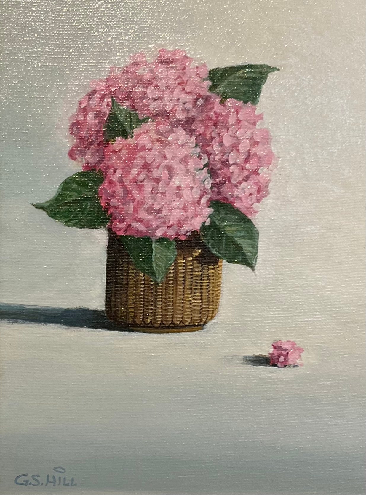 Hydrangeas III