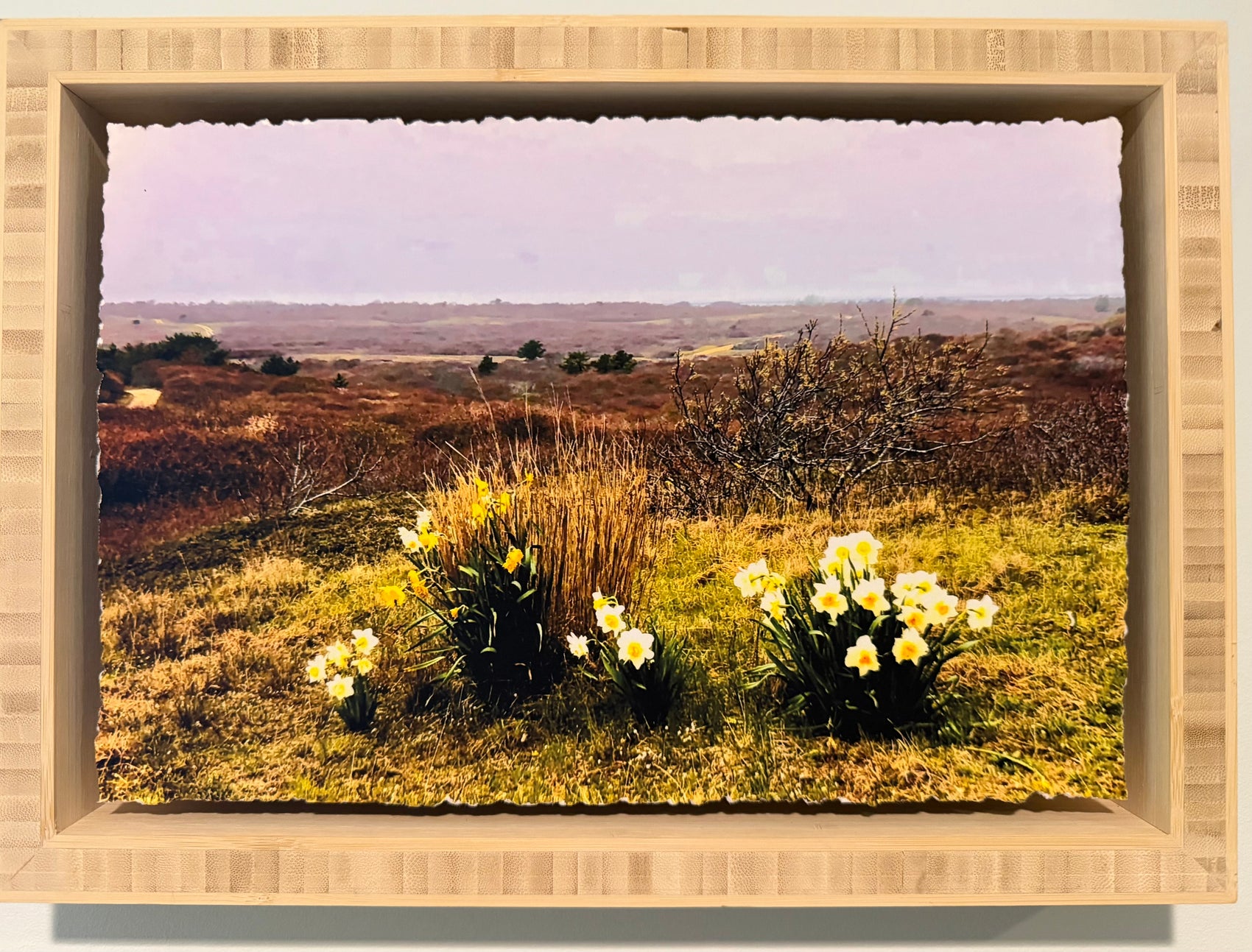 Over the Moors