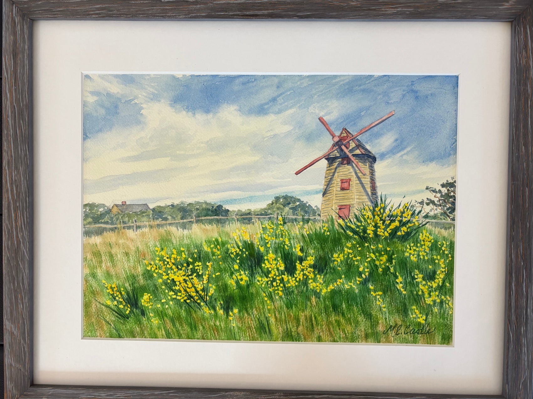 The Old Mill with Scotch Broom