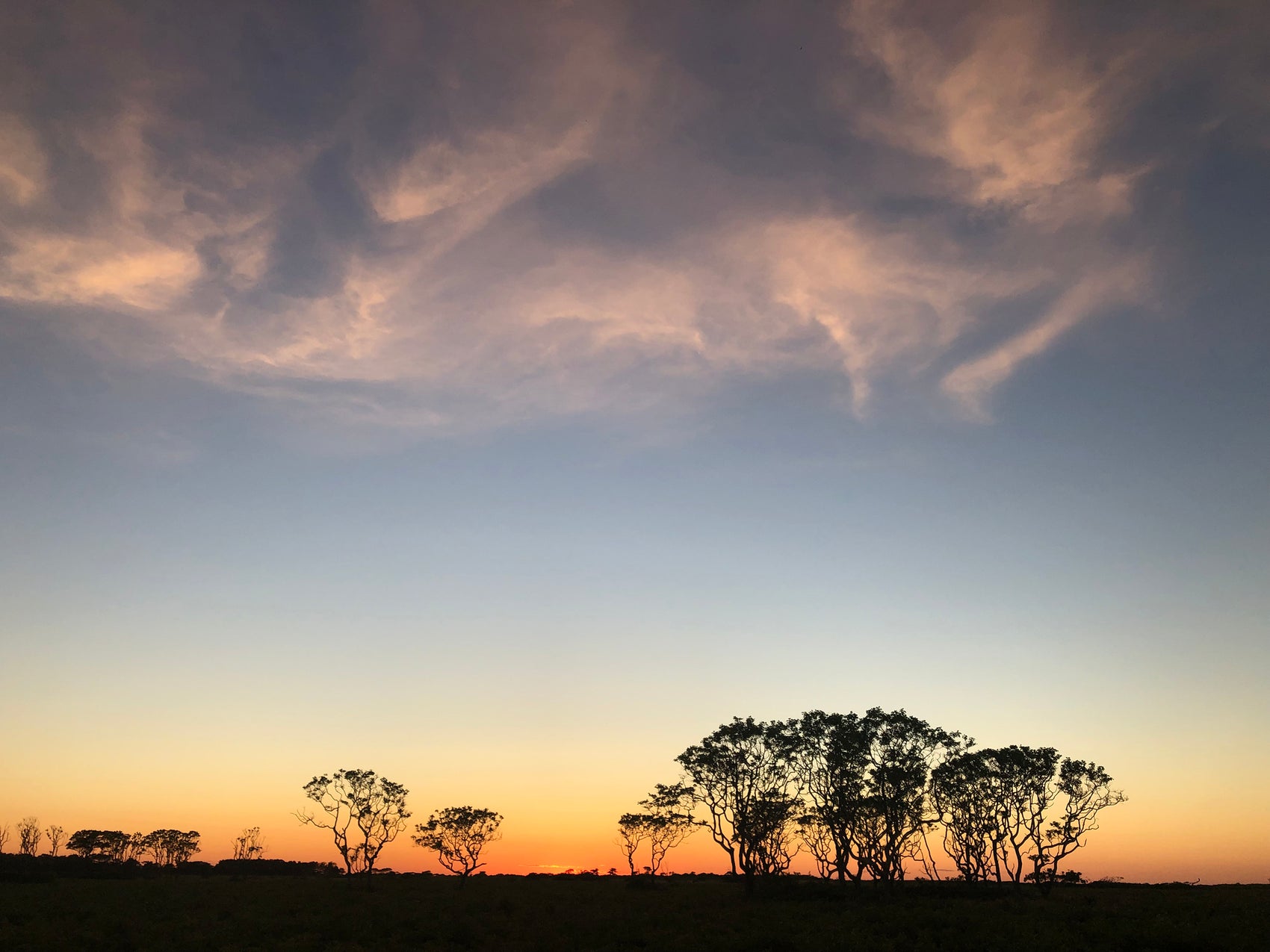 Nantucket Serengeti