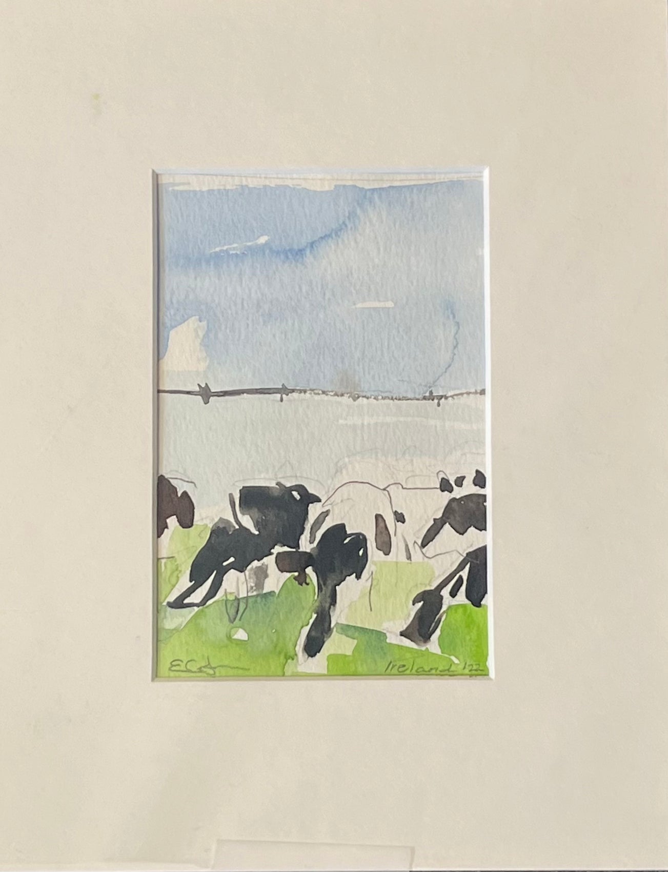 Irish Cows