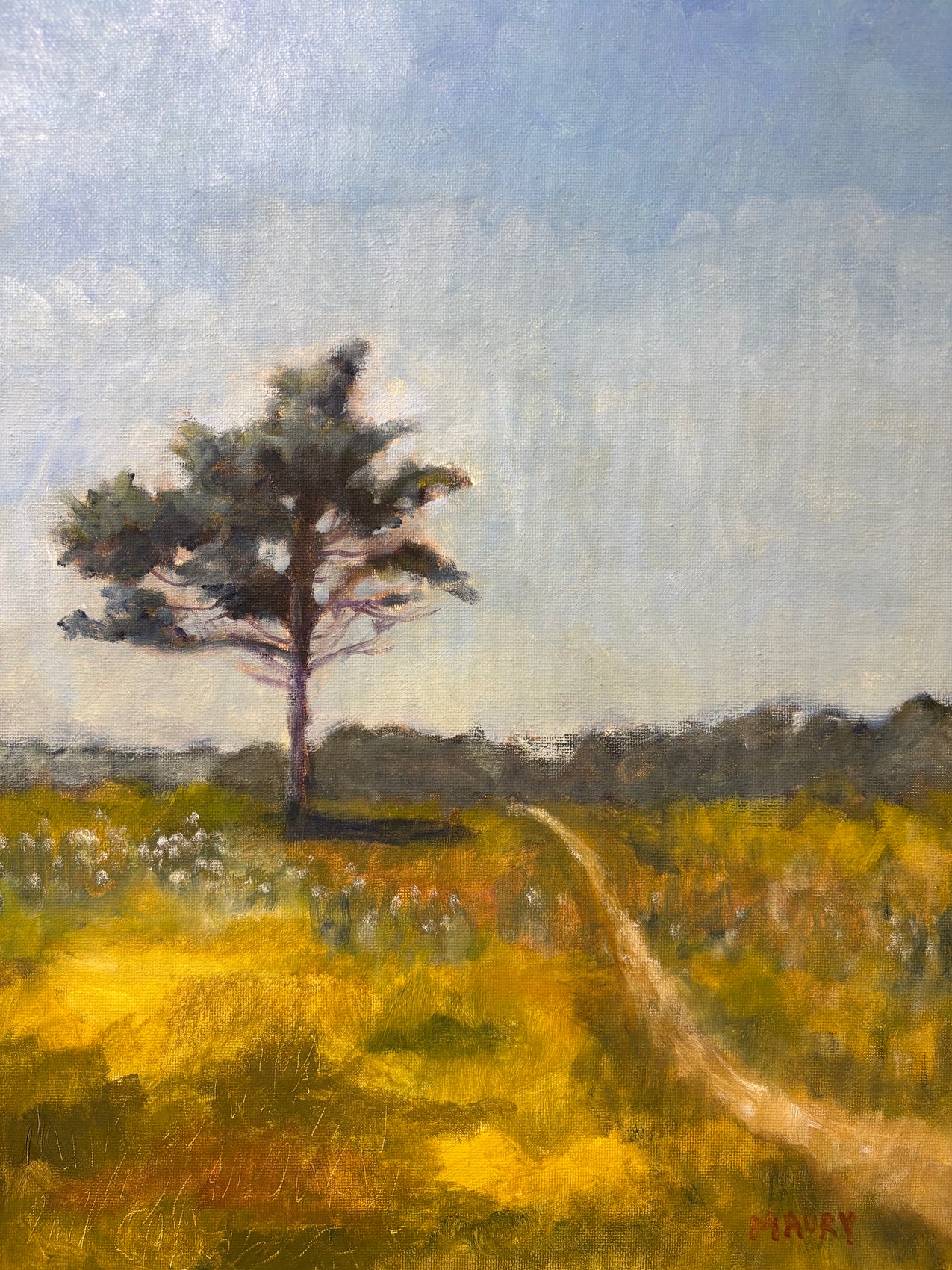 Lone Tree in the Afternoon