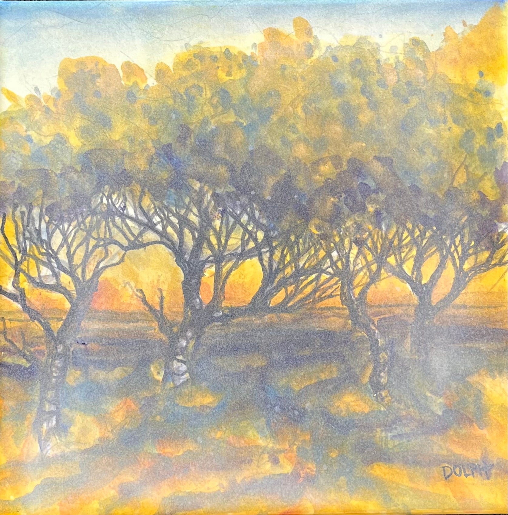 AM scrub oaks