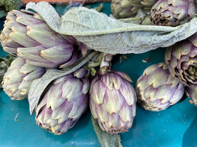 Artichoke