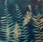 Night Fern